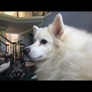 Meet your Posher, Tracy